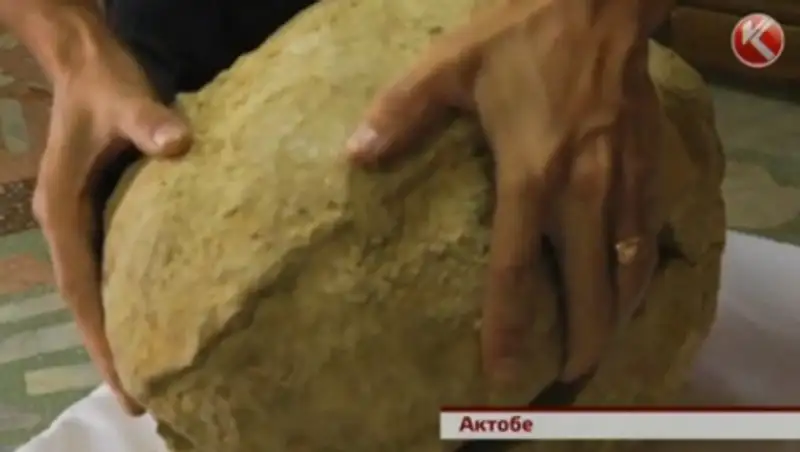 Яйца динозавра, найденные в Актобе, пошли по рукам