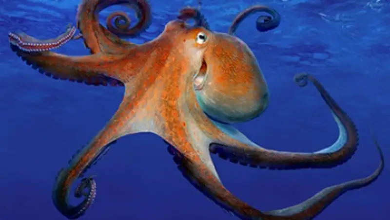 Ученые узнали о захвате Мирового океана осьминогами и кальмарами
