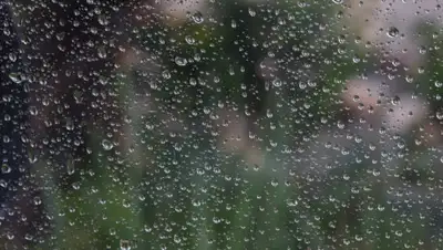 publicdomainpictures.net, фото - Новости Zakon.kz от 29.04.2019 09:09