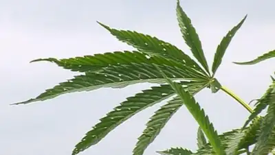 Zakon.kz, фото - Новости Zakon.kz от 02.07.2015 17:55