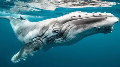 Zakon.kz, фото - Новости Zakon.kz от 29.02.2016 19:35