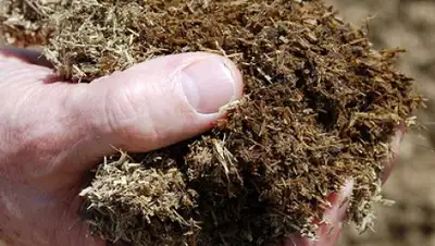 Zakon.kz, фото - Новости Zakon.kz от 15.08.2017 01:54