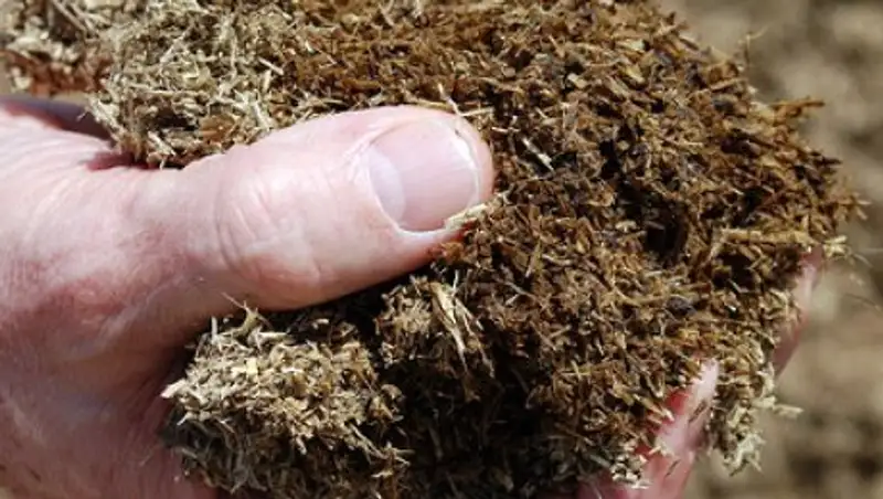 В Атырау осудили акима сельского округа за получение взятки коровьим навозом