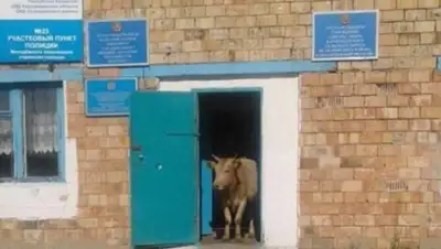 Zakon.kz, фото - Новости Zakon.kz от 14.06.2017 20:33