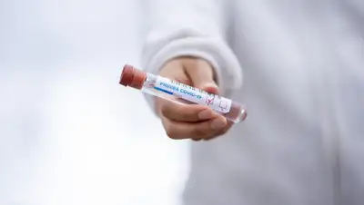 Pixabay, фото - Новости Zakon.kz от 18.05.2020 14:27