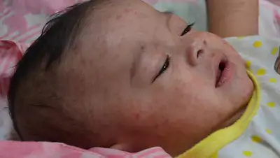 Википедия, фото - Новости Zakon.kz от 09.08.2019 13:50