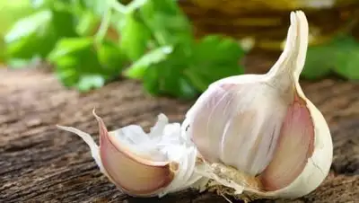 obi, фото - Новости Zakon.kz от 05.12.2020 11:03