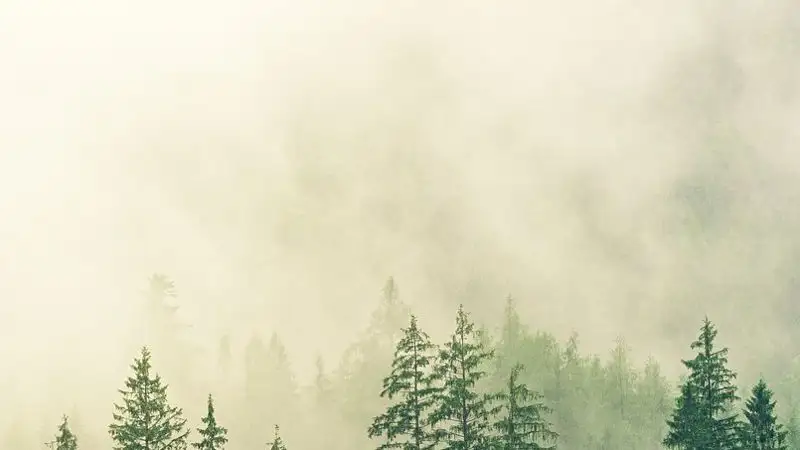 Неблагоприятные метеоусловия прогнозируют в понедельник в  Алматы