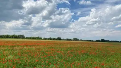 Zakon.kz, фото - Новости Zakon.kz от 16.05.2021 10:51