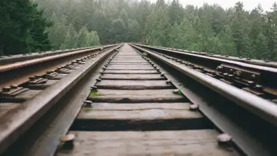 pxhere.com, фото - Новости Zakon.kz от 21.08.2019 16:09