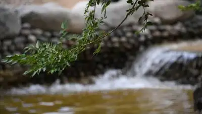 zakon.kz, фото - Новости Zakon.kz от 30.09.2021 09:05