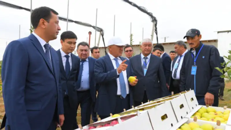 Умирзак Шукеев посетил ряд социальных объектов в Толебийском районе