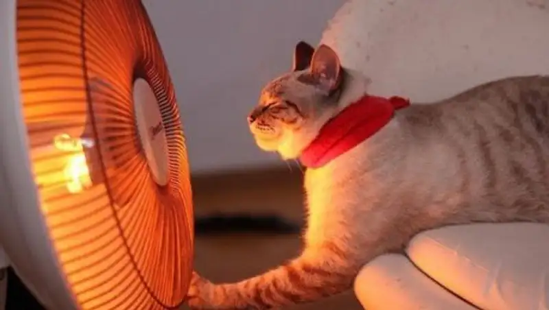 Нештатная ситуация: в Алматы отключили от тепла около 50 зданий