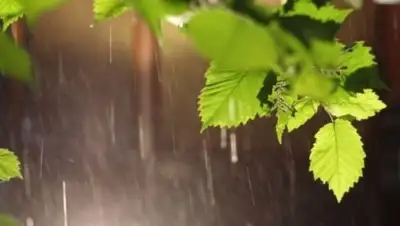 Zakon.kz, фото - Новости Zakon.kz от 05.07.2015 14:43