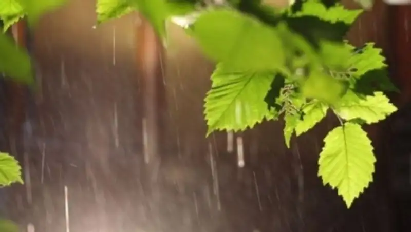 На большей части территории Казахстана сохраняется неустойчивый характер погоды