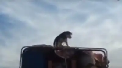 Zakon.kz, фото - Новости Zakon.kz от 30.08.2016 07:21