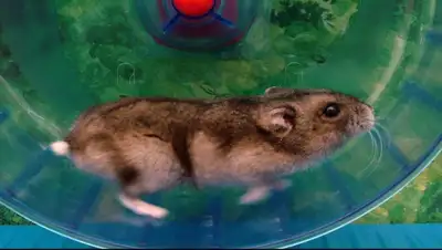 Zakon.kz, фото - Новости Zakon.kz от 21.05.2015 05:00