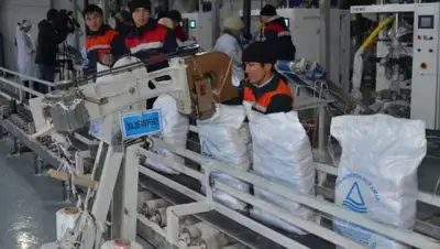 Zakon.kz, фото - Новости Zakon.kz от 01.12.2017 14:24