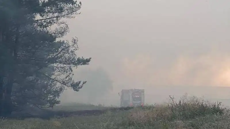 Экологи проверили качество воздуха на местах пожаров в Костанайской области