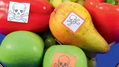 Zakon.kz, фото - Новости Zakon.kz от 18.06.2015 02:54