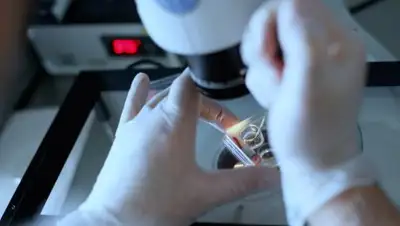 tvc.ru, фото - Новости Zakon.kz от 21.02.2018 10:15