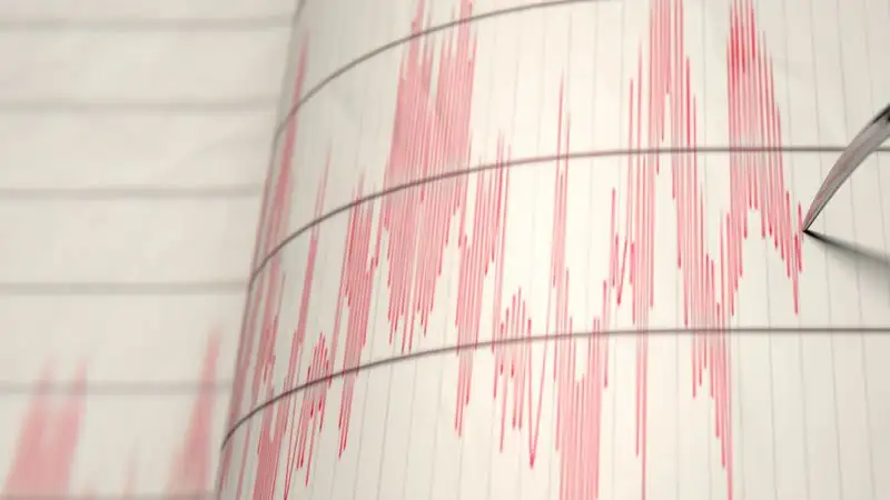 Землетрясение произошло в 698 километрах от Алматы