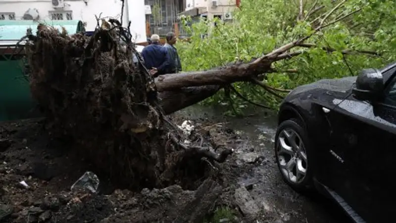 Москва выплатит семьям погибших от урагана по 1 млн рублей