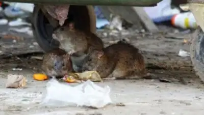 Zakon.kz, фото - Новости Zakon.kz от 25.04.2017 12:24