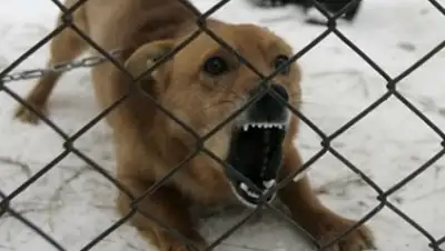 Zakon.kz, фото - Новости Zakon.kz от 23.02.2016 19:21