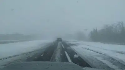 bezformata.com, фото - Новости Zakon.kz от 01.01.2020 02:08