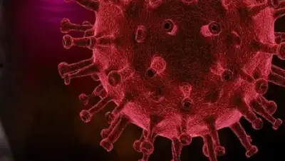 pixabay.com, фото - Новости Zakon.kz от 30.03.2020 15:26