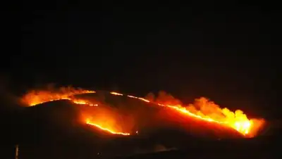 zakon.kz, фото - Новости Zakon.kz от 06.08.2021 15:54