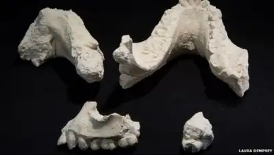 Zakon.kz, фото - Новости Zakon.kz от 28.05.2015 17:08