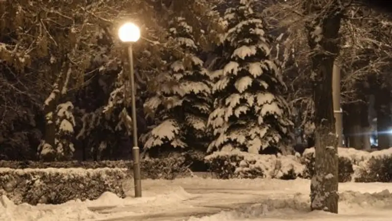 В Алматы выпал первый снег