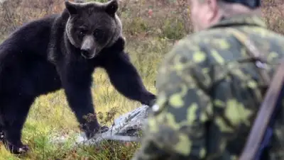 Zakon.kz, фото - Новости Zakon.kz от 10.08.2015 19:10