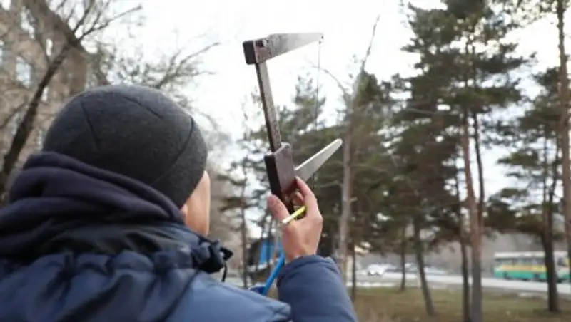 У каждого карагандинского дерева появится паспорт