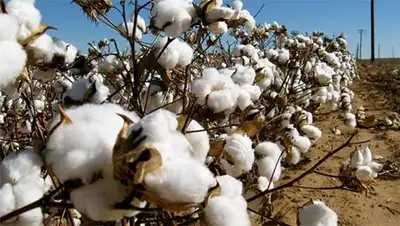 Zakon.kz, фото - Новости Zakon.kz от 01.11.2014 20:55