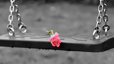 Pixabay, фото - Новости Zakon.kz от 08.11.2019 18:45