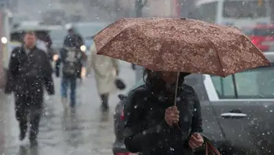 Zakon.kz, фото - Новости Zakon.kz от 27.03.2017 12:00