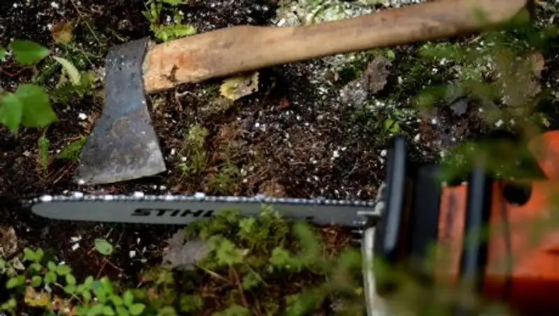 Житель Петропавловска осужден за убийство и расчленение знакомого