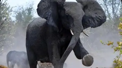 reddroid.mobi, фото - Новости Zakon.kz от 28.02.2018 08:00