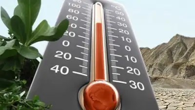 Novinite.ru, фото - Новости Zakon.kz от 05.06.2018 17:25