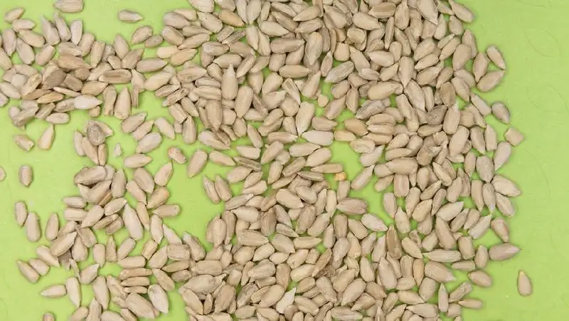 Продлены квоты на вывоз семян подсолнечника из Казахстана