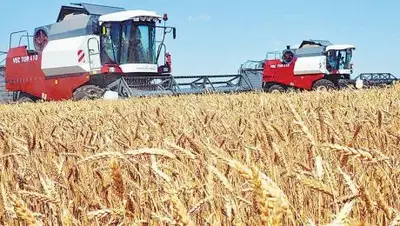 Волжская коммуна, фото - Новости Zakon.kz от 03.08.2018 22:35