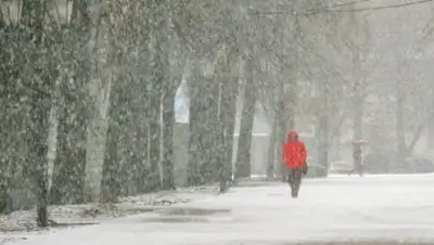 novoetv.kz, фото - Новости Zakon.kz от 29.11.2018 09:30