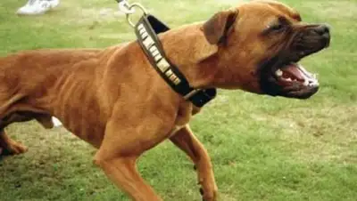 Zakon.kz, фото - Новости Zakon.kz от 15.06.2015 17:16