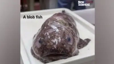 Zakon.kz, фото - Новости Zakon.kz от 19.06.2017 20:42