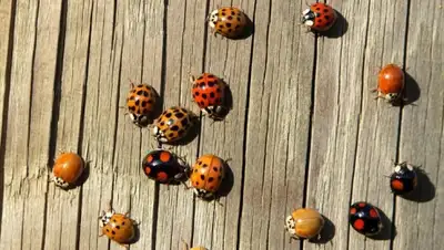 Zakon.kz, фото - Новости Zakon.kz от 27.05.2015 07:28