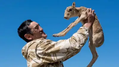 Оспан Али, фото - Новости Zakon.kz от 17.02.2020 15:28