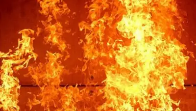 24.kz, фото - Новости Zakon.kz от 25.11.2019 12:08